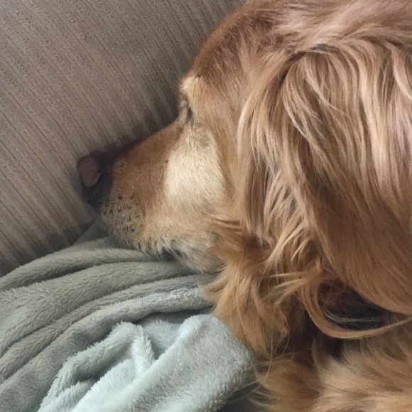 Meet your Posher, Pam - Picture 1 of 1